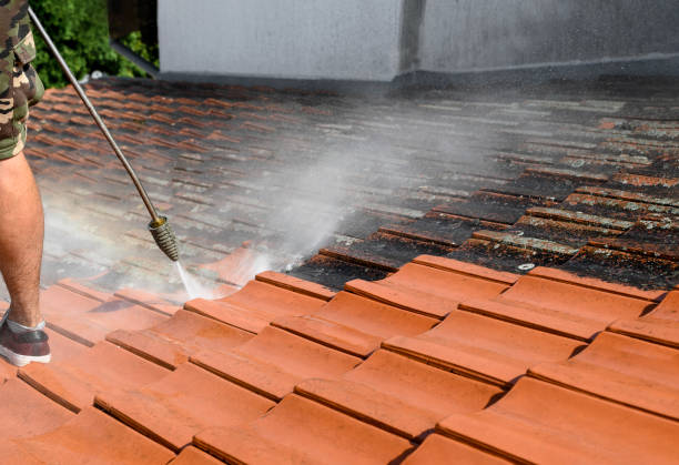 Best Pressure Washing Near Me  in Rainier, OR