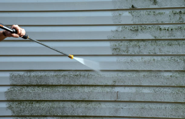 Best Affordable Pressure Washing  in Rainier, OR