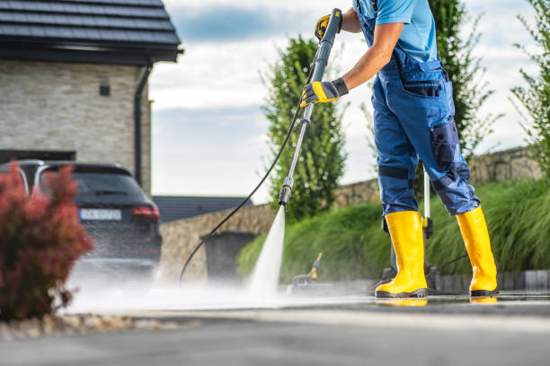 Best Roof Pressure Washing  in Rainier, OR